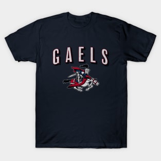 Show Your Support for the Gaels with this vintage design! T-Shirt